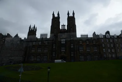 DSC_7326 (Large).JPG